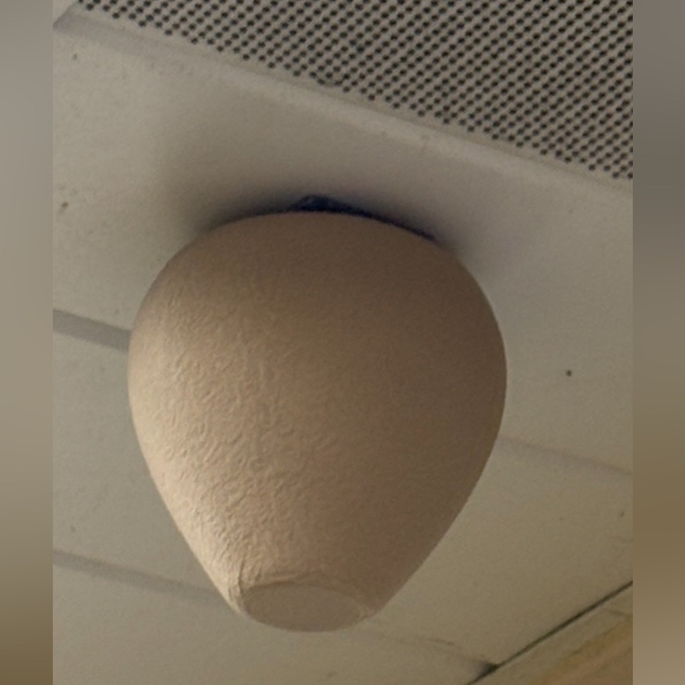 🐝 2-in-1 Wasp & Carpenter Bee Deterrent - 3D Printed Nest Decoy - Grey or Tan